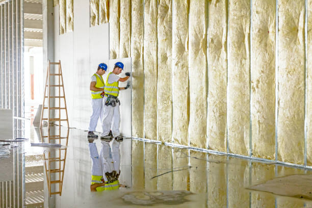Best Types of Insulation in Howards Grove, WI